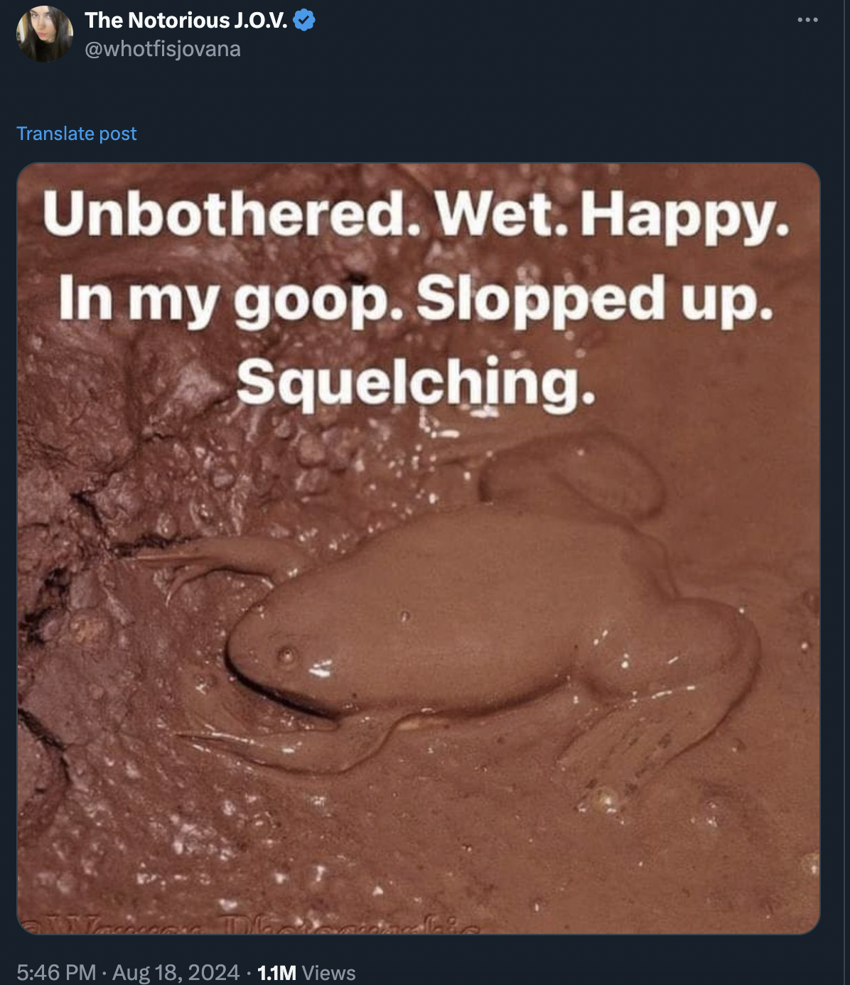 dugong - The Notorious J.O.V. whotfisjovana Translate post Unbothered. Wet. Happy. In my goop. Slopped up. Squelching. 1.1M Views